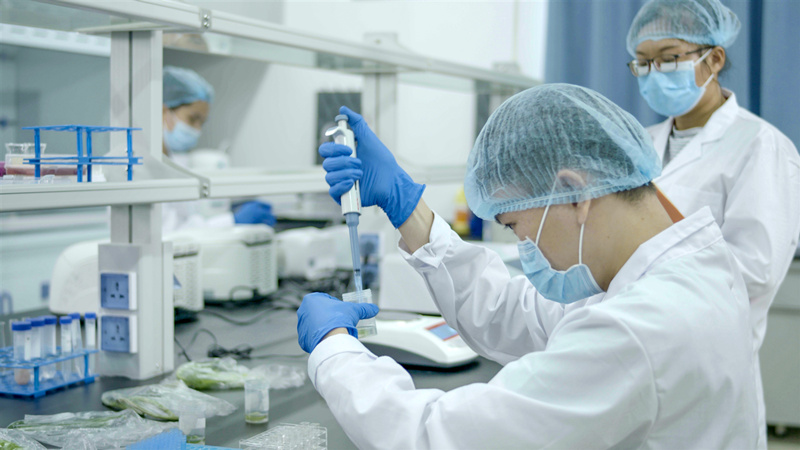 /QJ_550937668165.jpg 11_副本.jpg